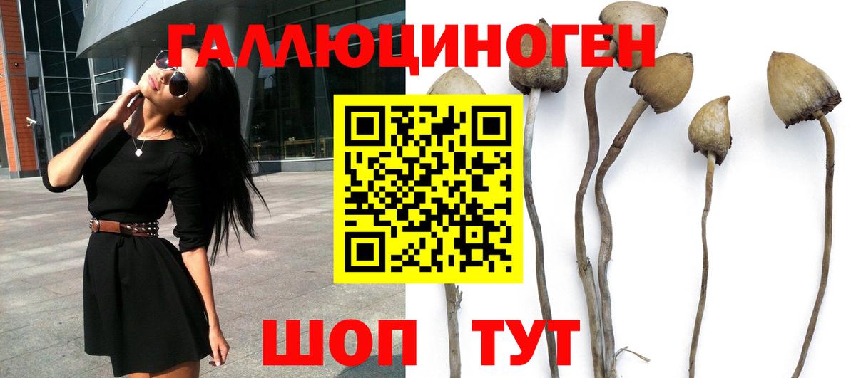 Псилоцибиновые грибы ЛСД Канаш